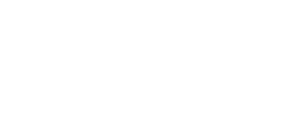 a f painting services logo upscaled white
